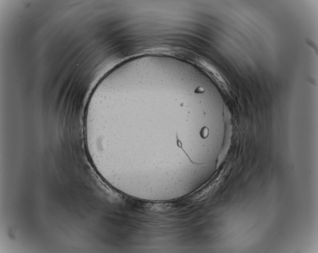 X0000091230808200708301514