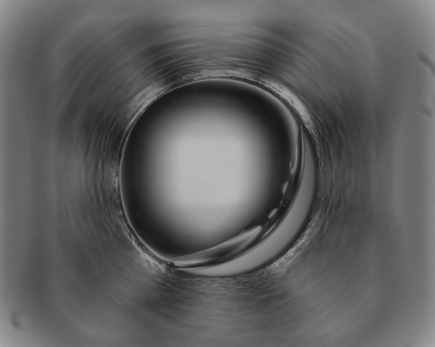 X0000091230809200708301514