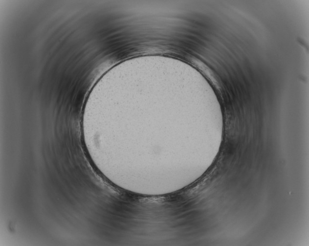 X0000091230810200708301514