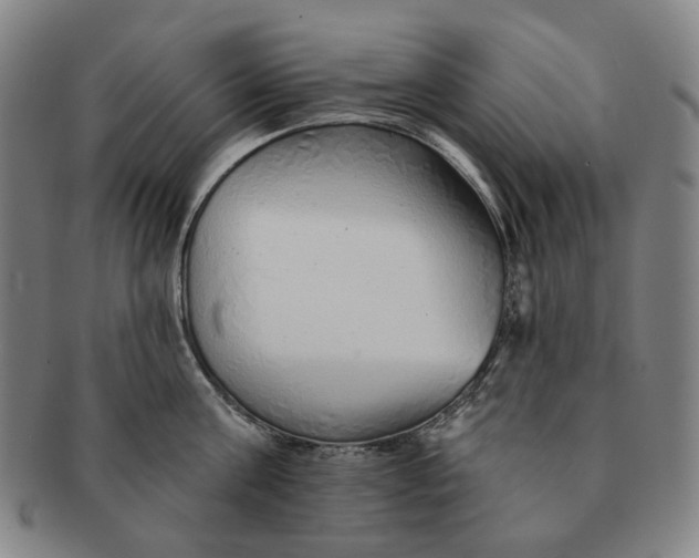 X0000091230811200708301514