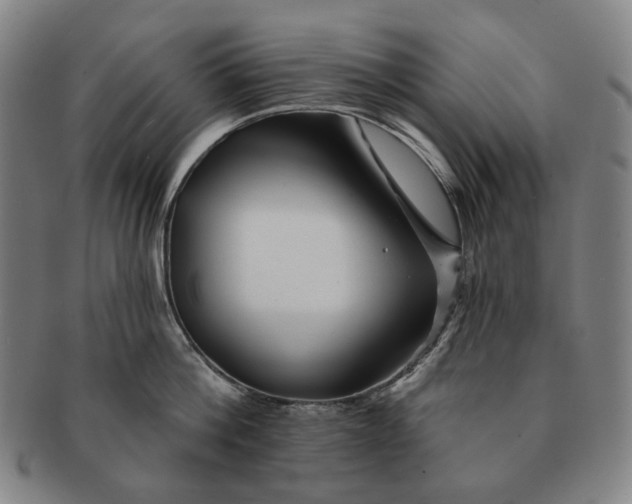X0000091230812200708301514
