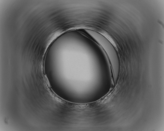 X0000091230813200708301514
