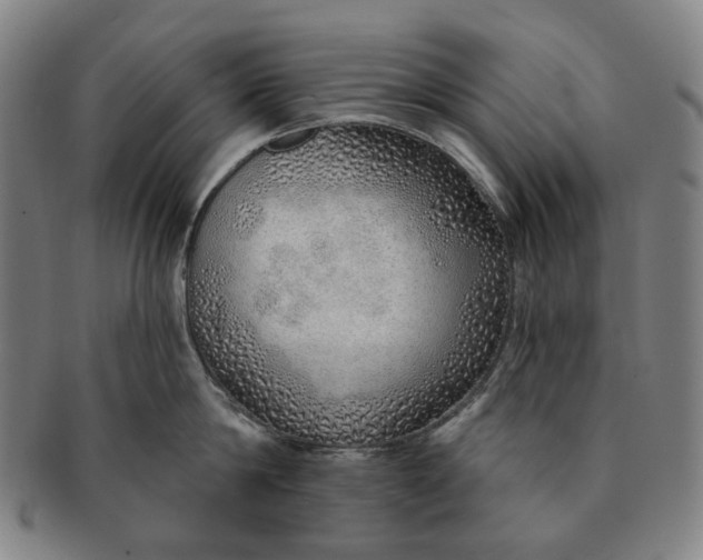 X0000091230814200708301514