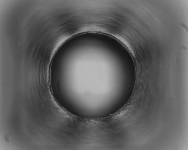 X0000091230815200708301514