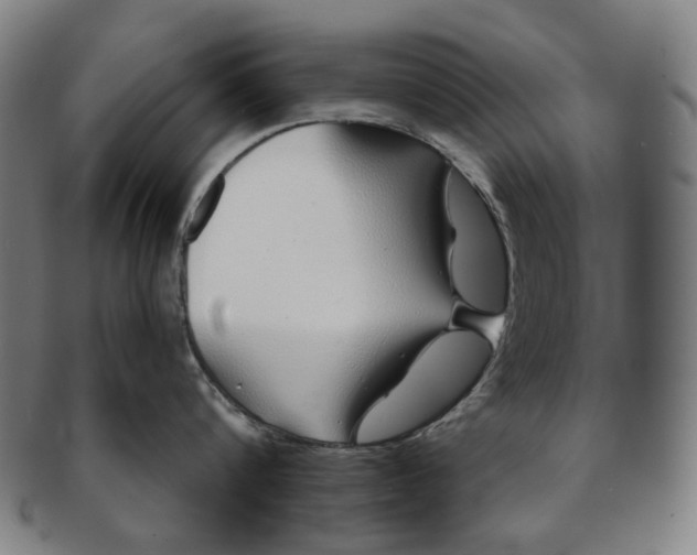 X0000091230816200708301514