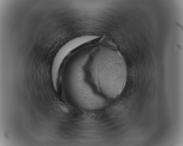 X0000091230818200708301514