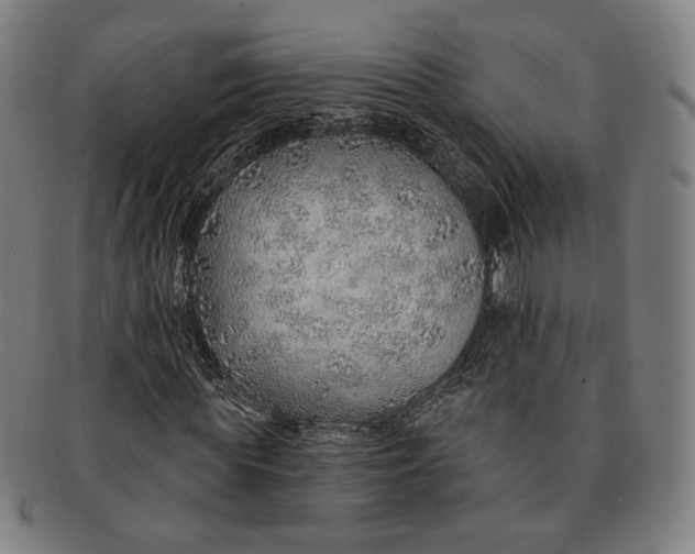 X0000091230819200708301514
