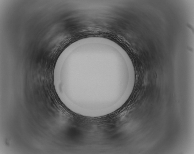 X0000091230820200708301514