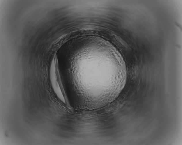 X0000091230821200708301514