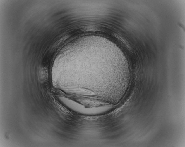 X0000091230825200708301514