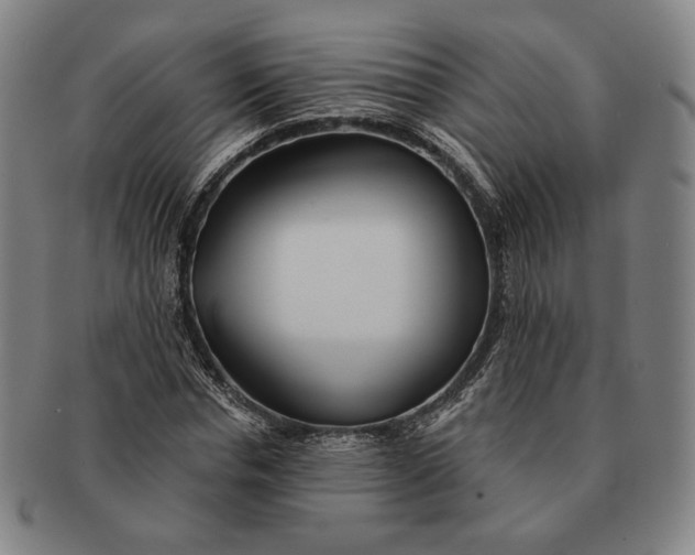 X0000091230826200708301514