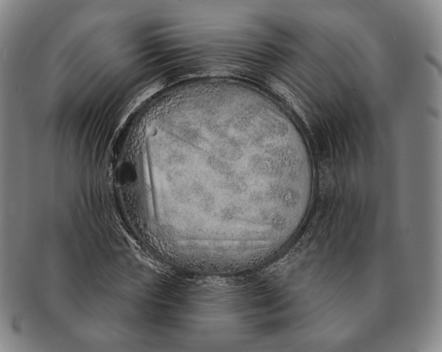 X0000091230827200708301514