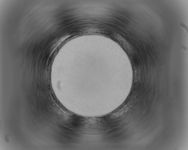 X0000091230828200708301514