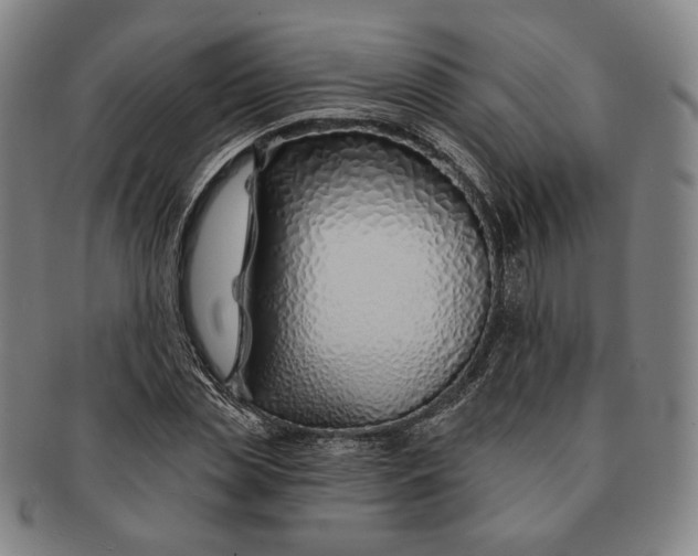 X0000091230829200708301514