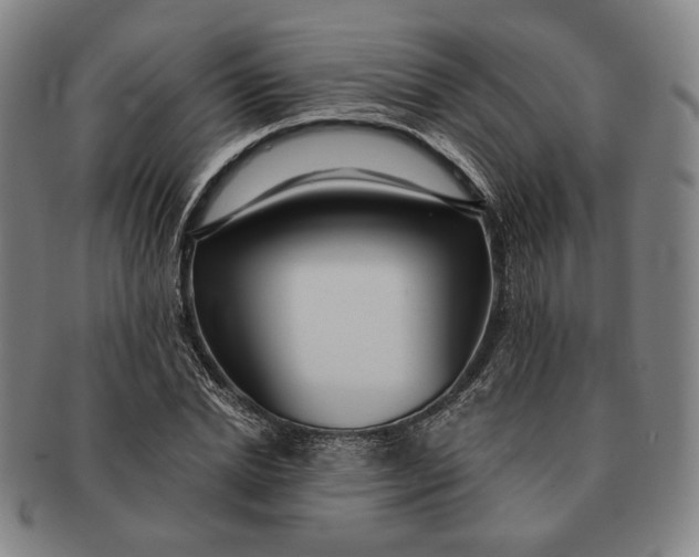 X0000091230830200708301514