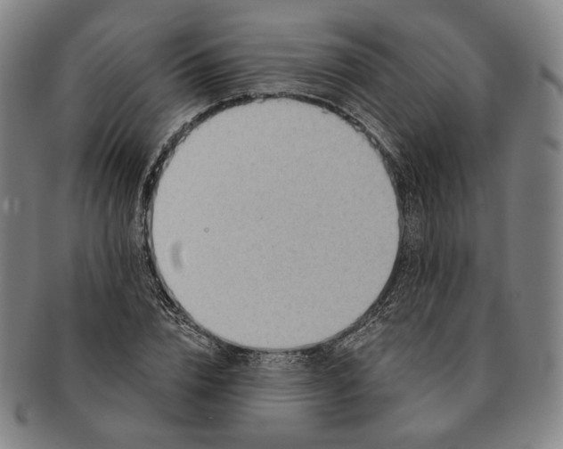 X0000091230832200708301514