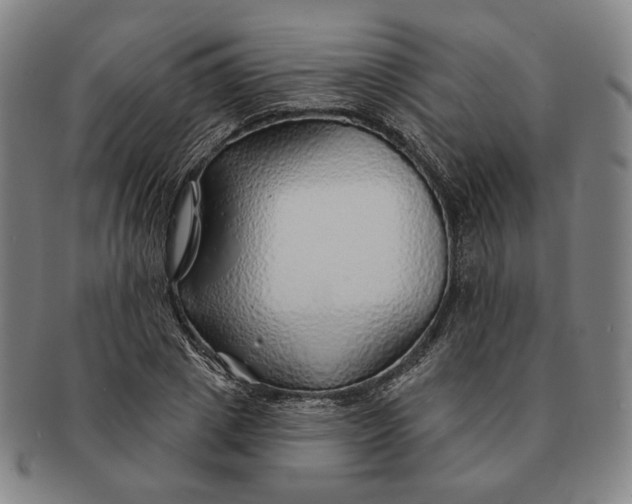X0000091230833200708301514