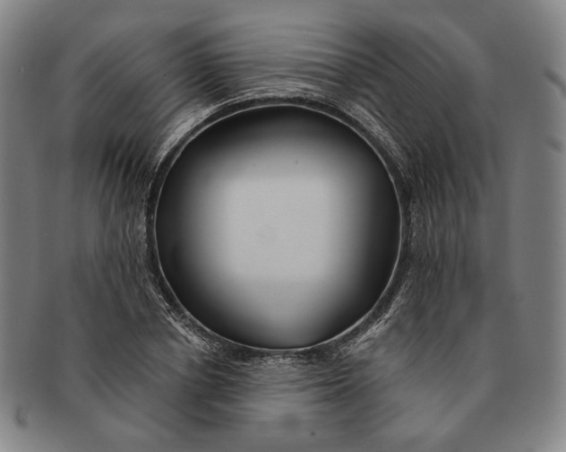 X0000091230834200708301514