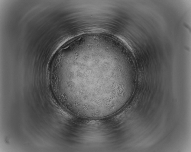 X0000091230835200708301514