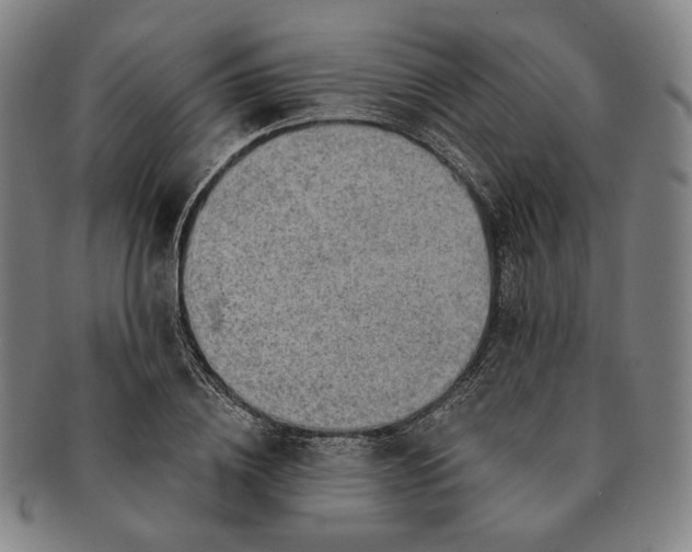 X0000091230836200708301514