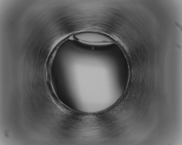 X0000091230838200708301514