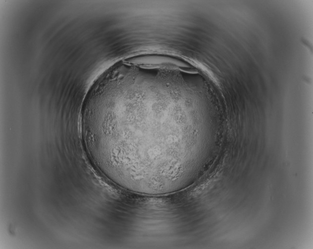 X0000091230839200708301514
