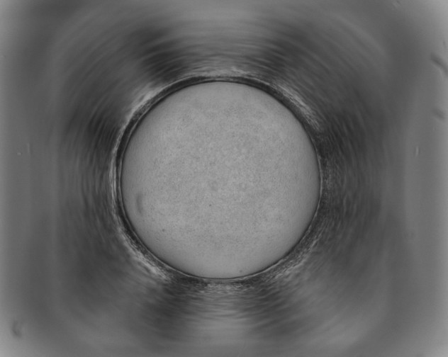 X0000091230840200708301514