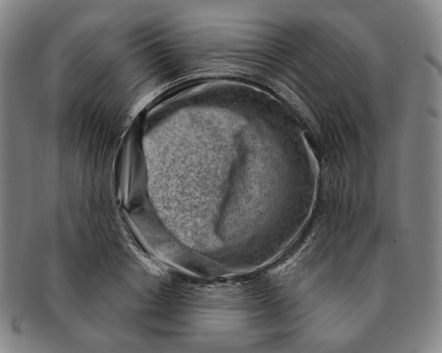 X0000091230842200708301514