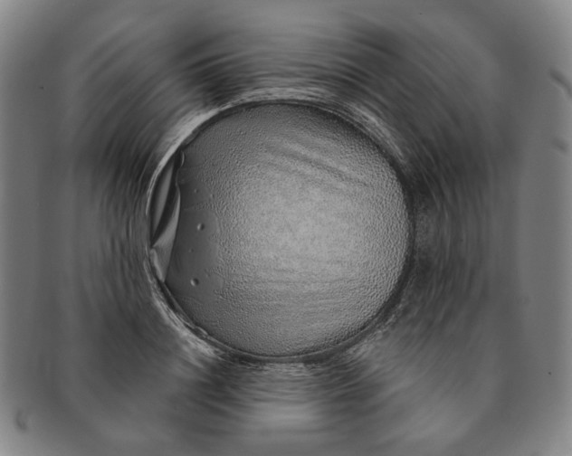 X0000091230844200708301514