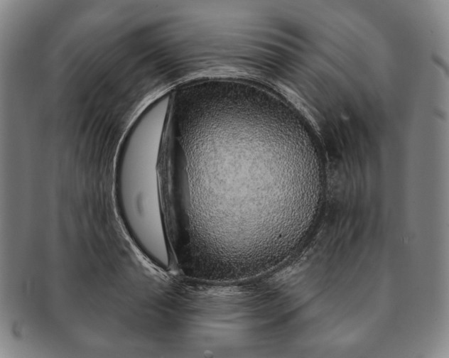 X0000091230845200708301514