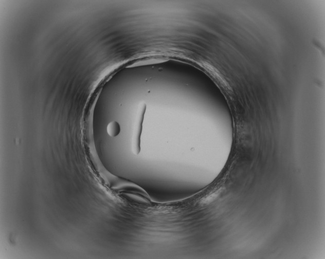 X0000091230846200708301514