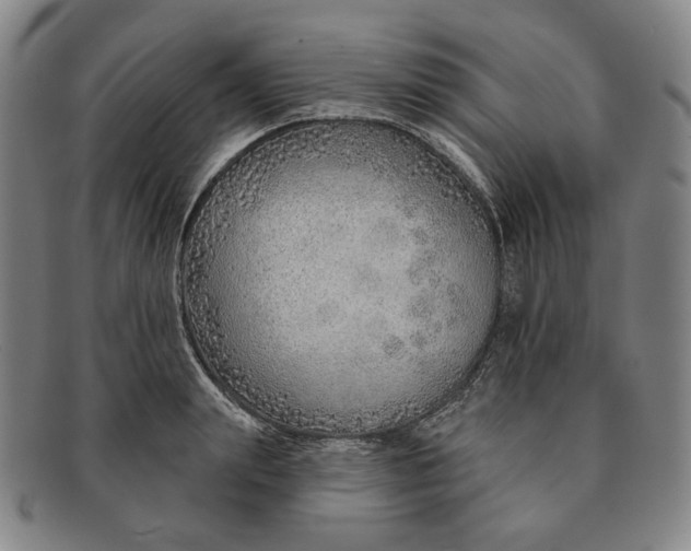X0000091230847200708301514