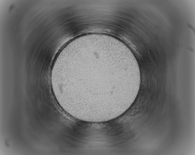 X0000091230848200708301514