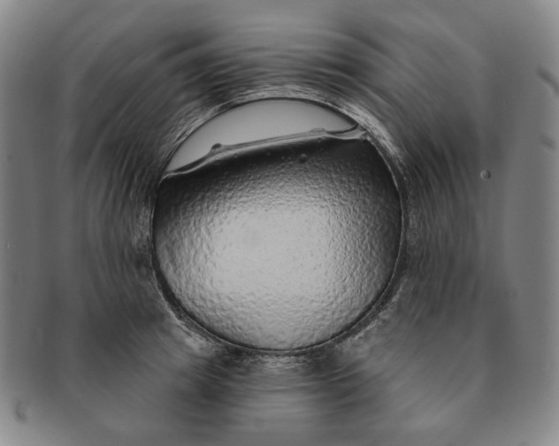 X0000091230849200708301514