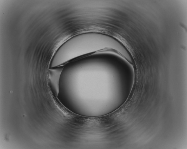 X0000091230850200708301514