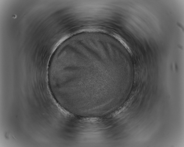X0000091230853200708301514