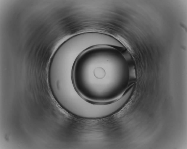 X0000091230854200708301514