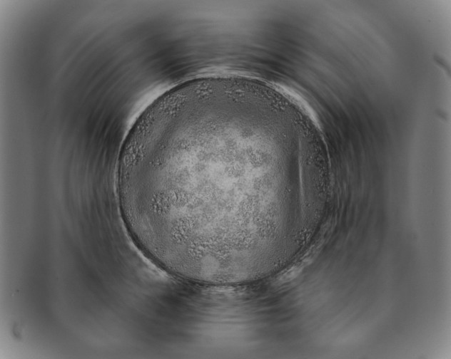X0000091230855200708301514