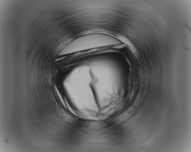 X0000091230857200708301514