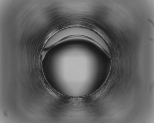 X0000091230858200708301514