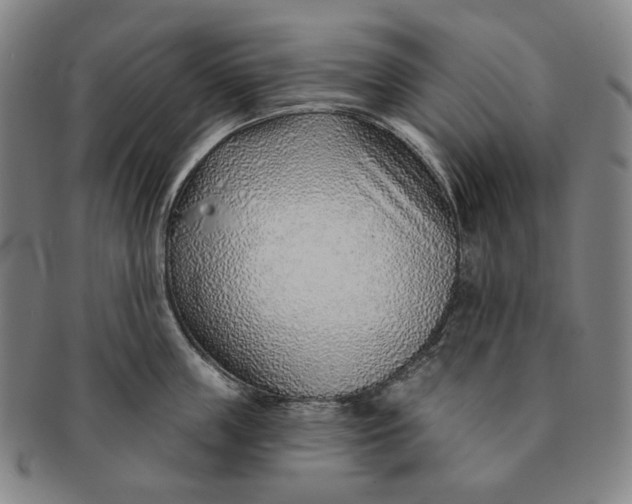 X0000091230859200708301514