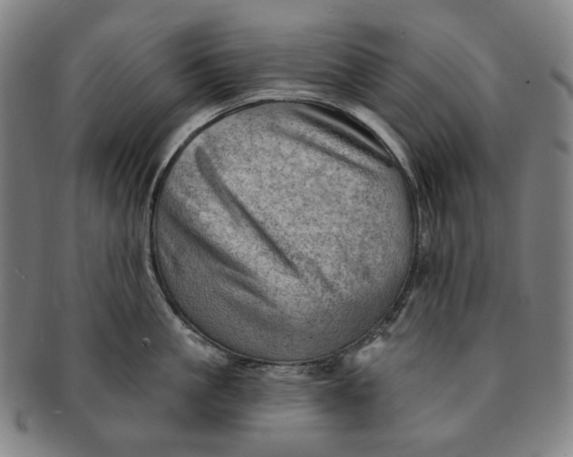 X0000091230861200708301514
