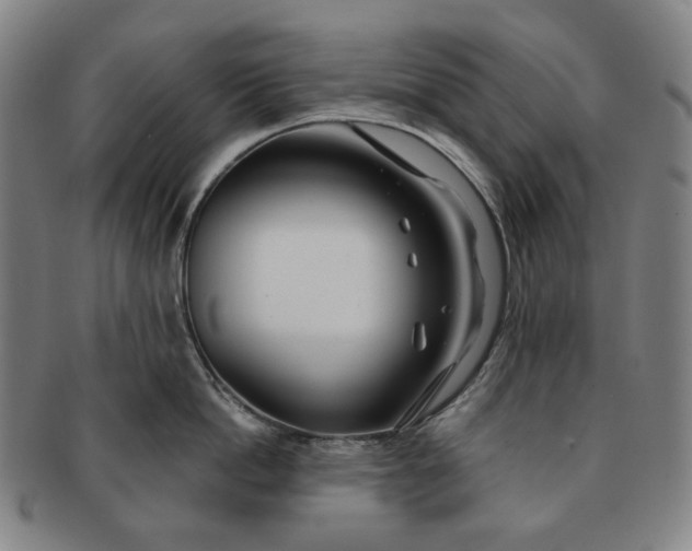 X0000091230862200708301514