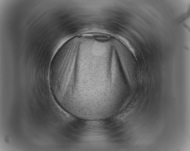 X0000091230863200708301514