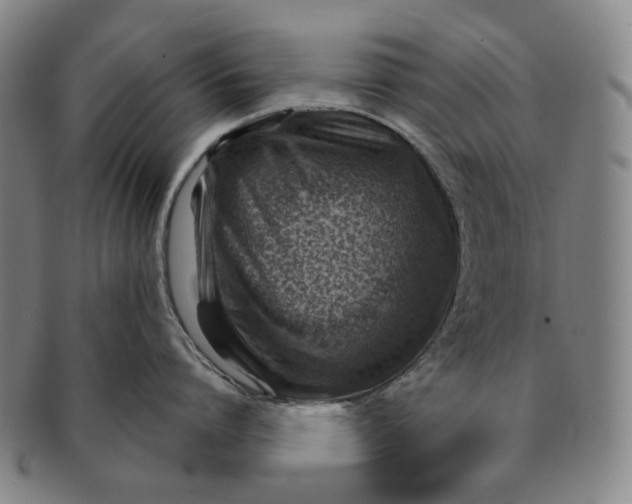 X0000091230864200708301514