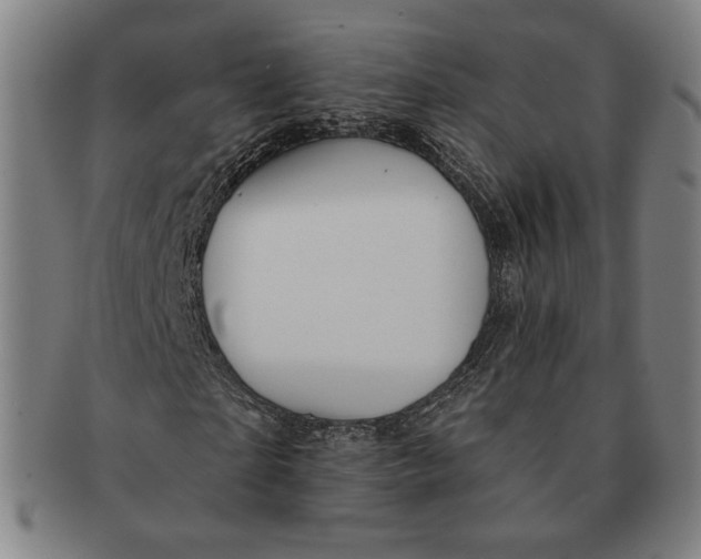 X0000091230865200708301514