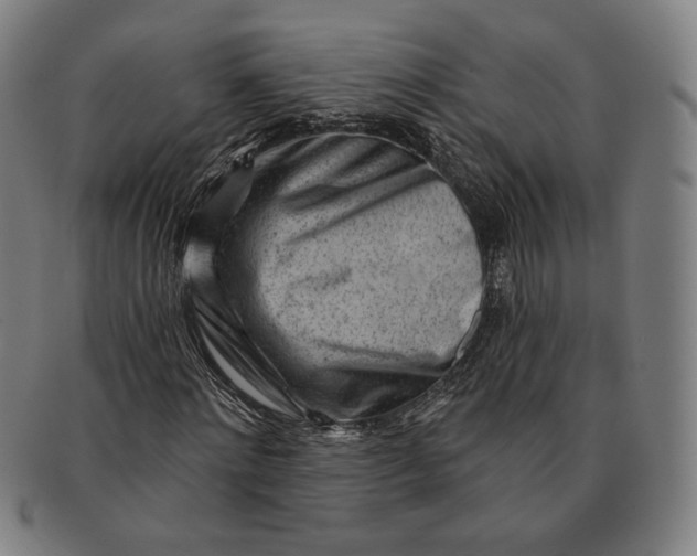 X0000091230868200708301513