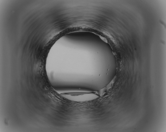 X0000091230872200708301513