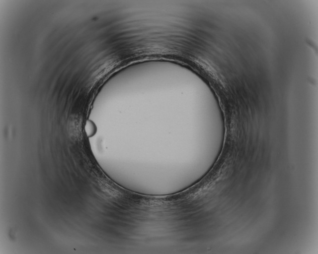 X0000091230873200708301513