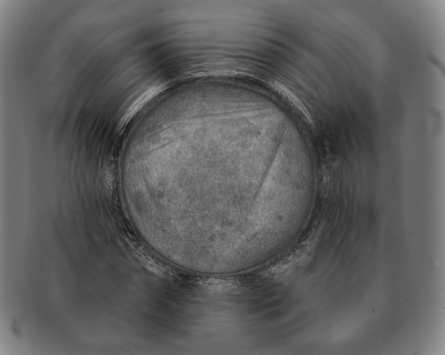 X0000091230874200708301513